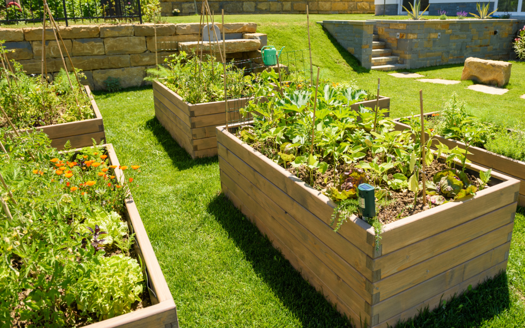 Garden Bed Kit: What You Need for Gardening