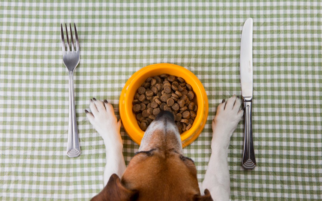 Things to Know About Pet Food